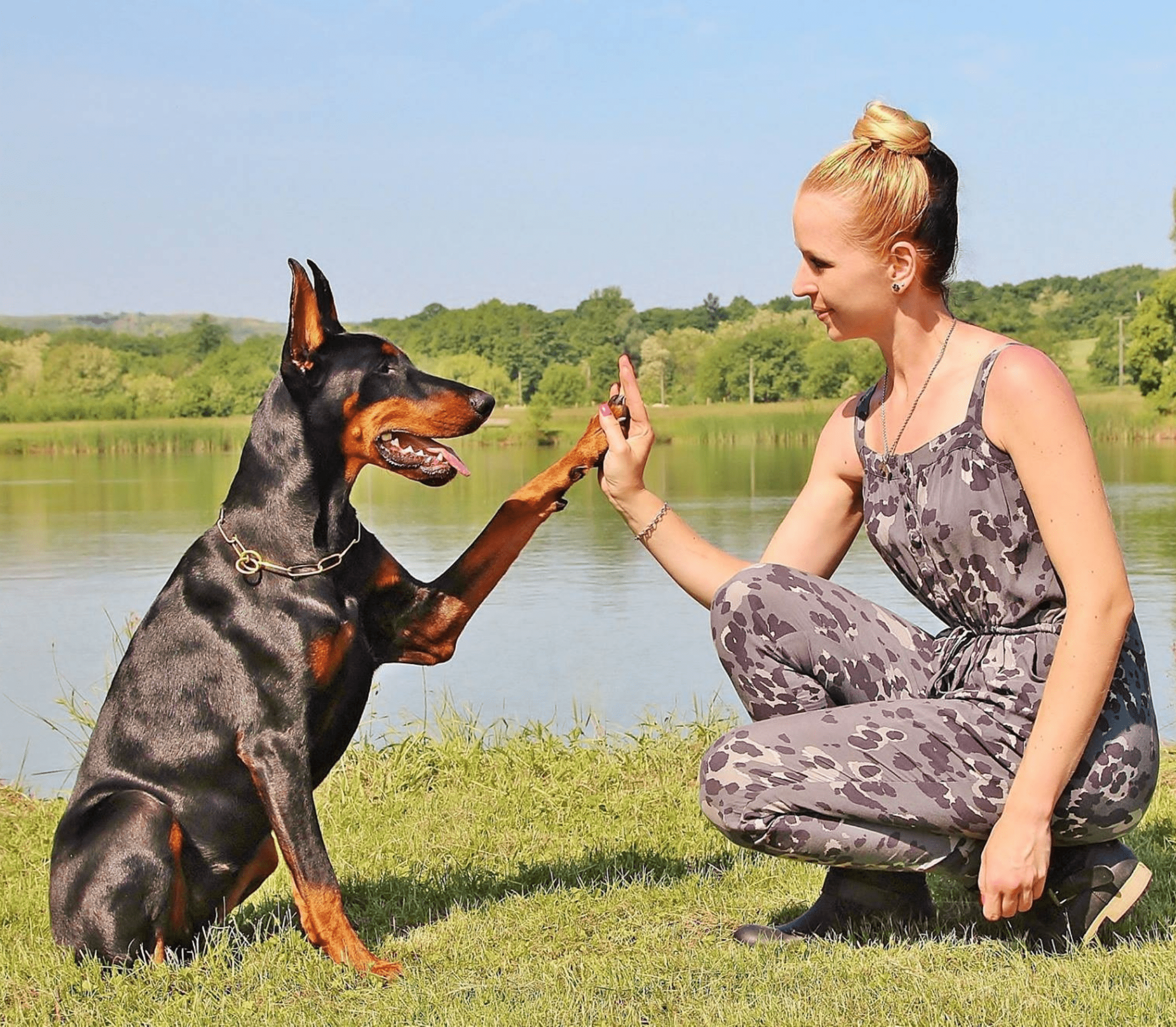 Adult Doberman giving a high-five to a lady near a lake