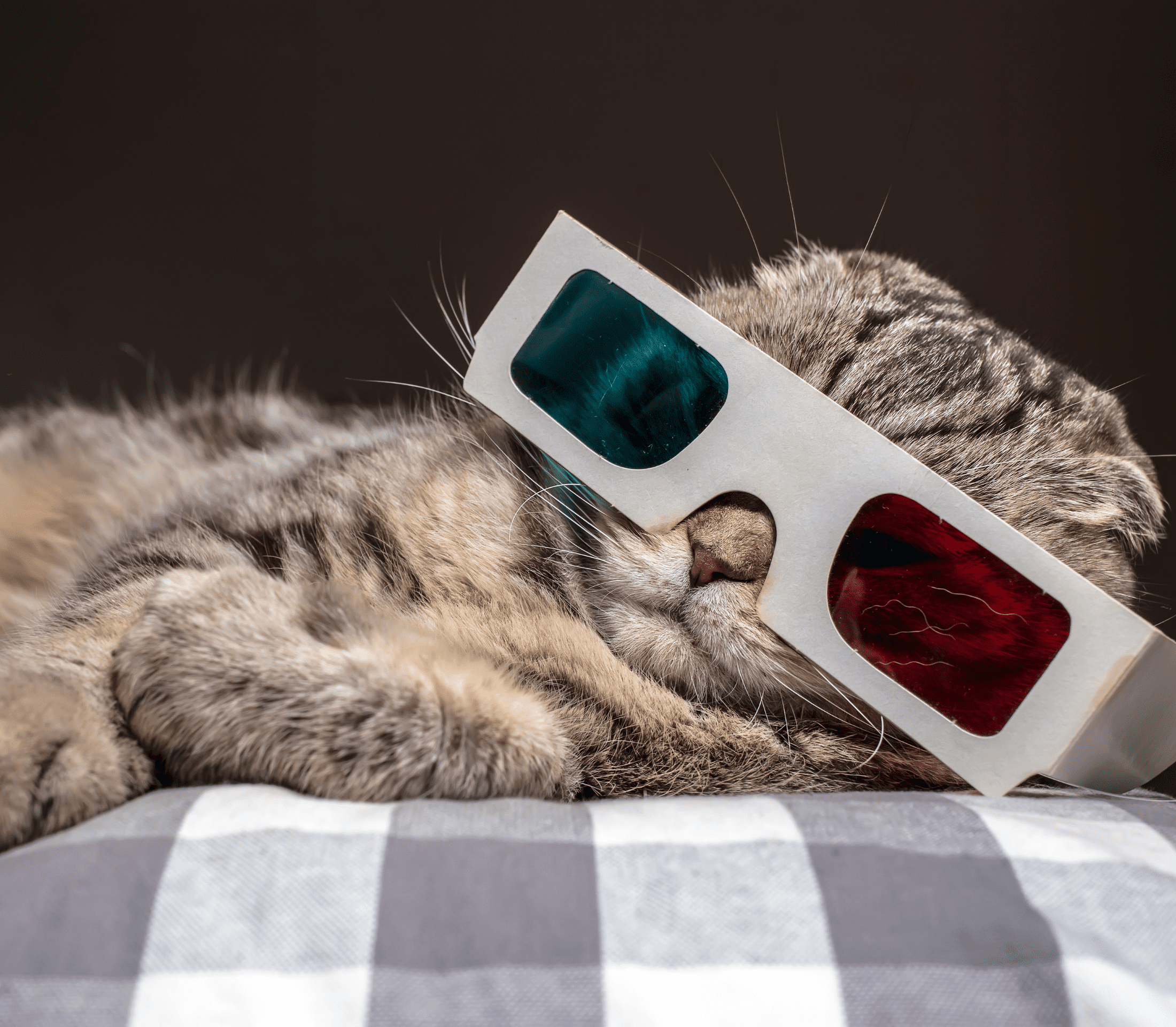 Gray cat with a 3D eyeglasses lays on a gray checkered cloth